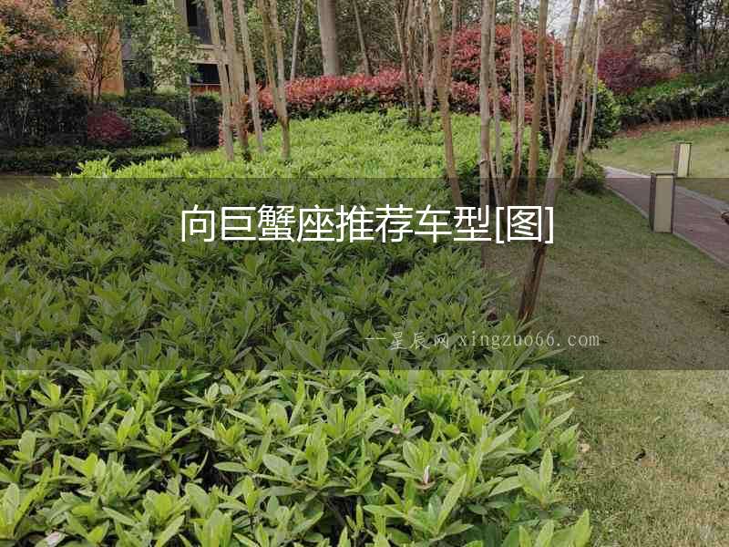 向巨蟹座推薦車型[圖]