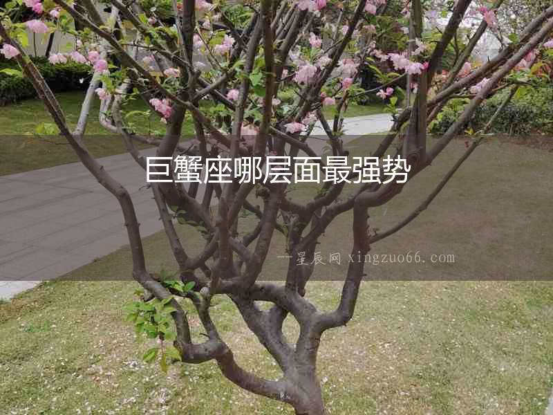巨蟹座哪層面最強勢