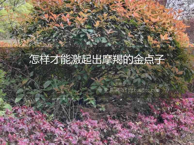 怎樣才能激起出摩羯的金點子