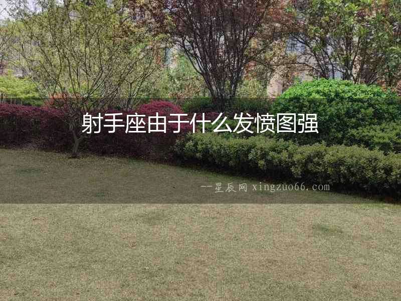 射手座由于什么發憤圖強