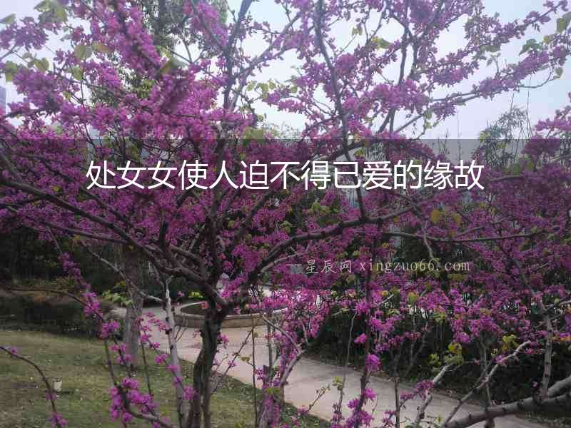 處女女使人迫不得已愛的緣故