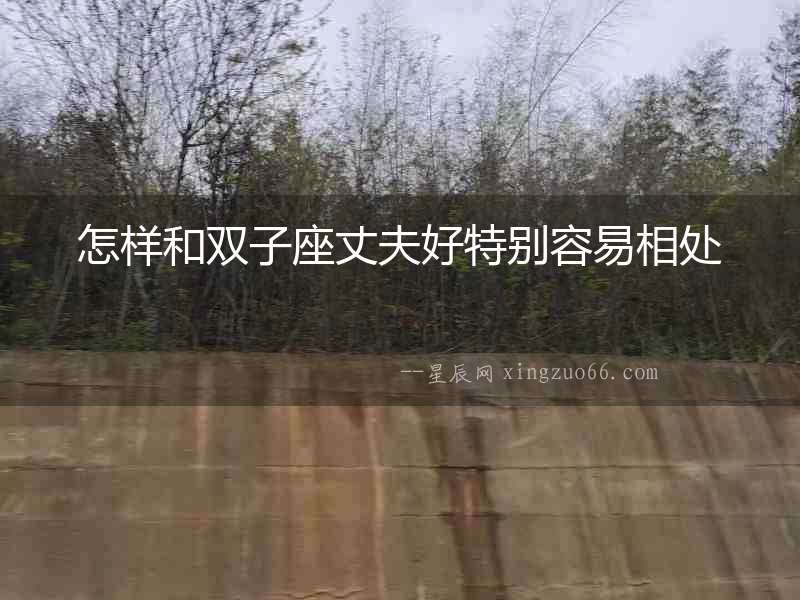 怎樣和雙子座丈夫好特別容易相處