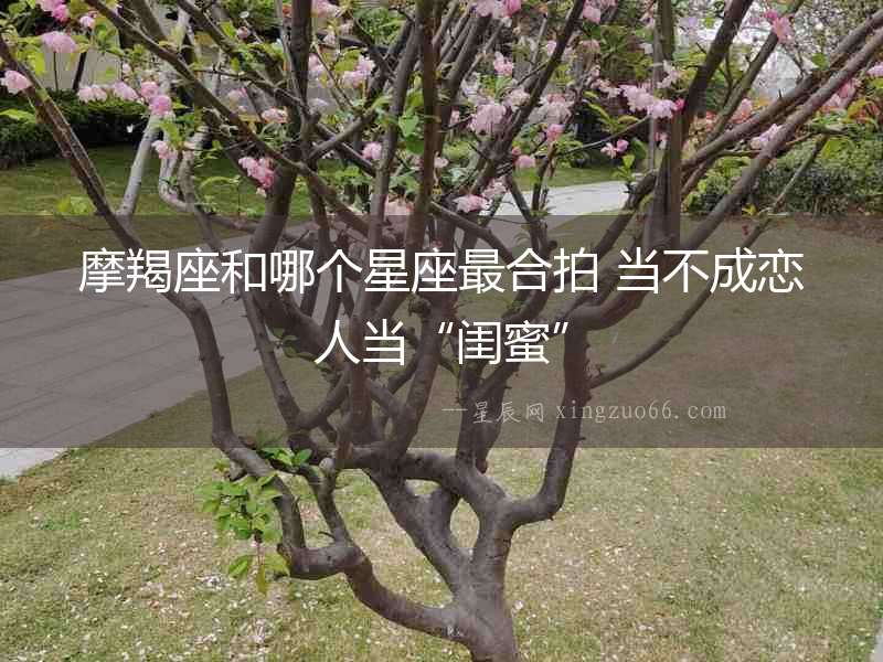 摩羯座和哪個星座最合拍 當不成戀人當“閨蜜”