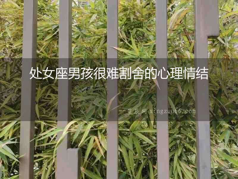 處女座男孩很難割舍的心理情結