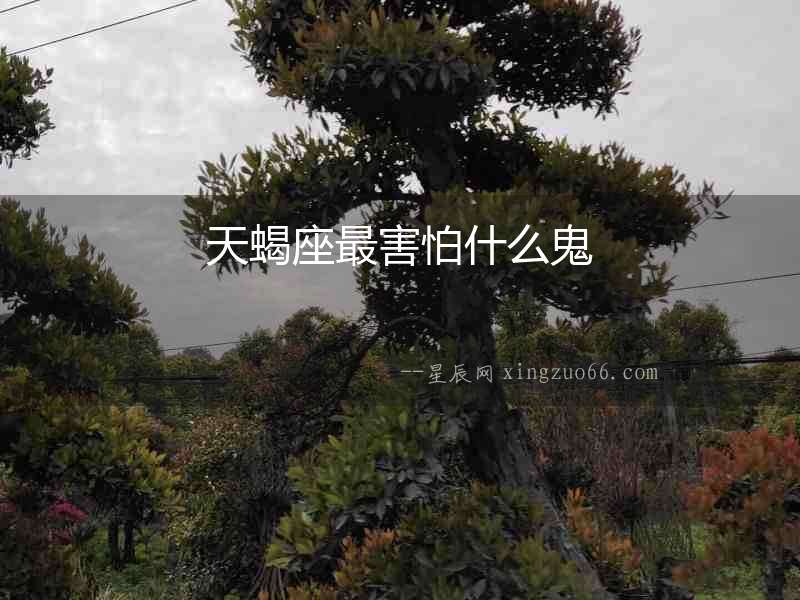 天蝎座最害怕什么鬼
