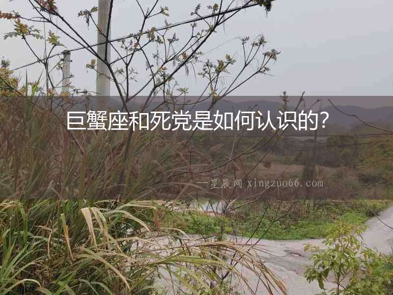 巨蟹座和死黨是如何認(rèn)識的？