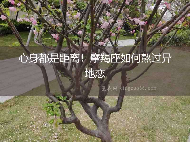 心身都是距離！摩羯座如何熬過異地戀