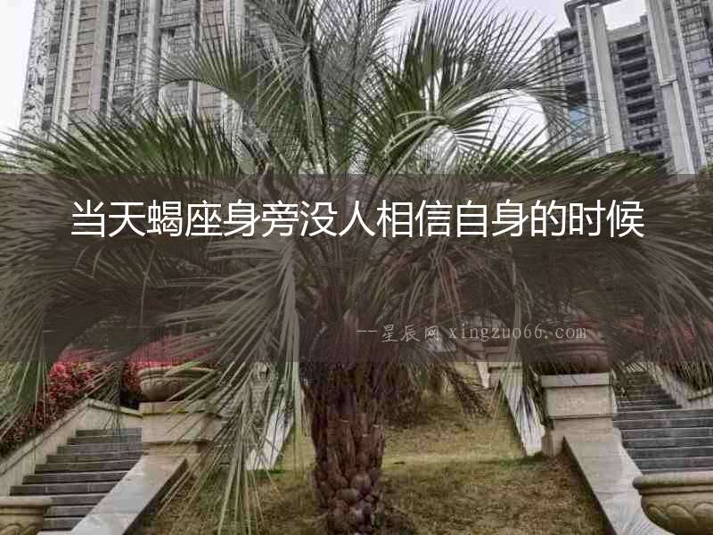 當天蝎座身旁沒人相信自身的時候
