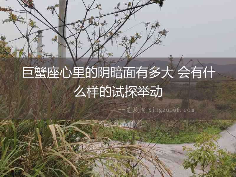 巨蟹座心里的陰暗面有多大 會有什么樣的試探舉動