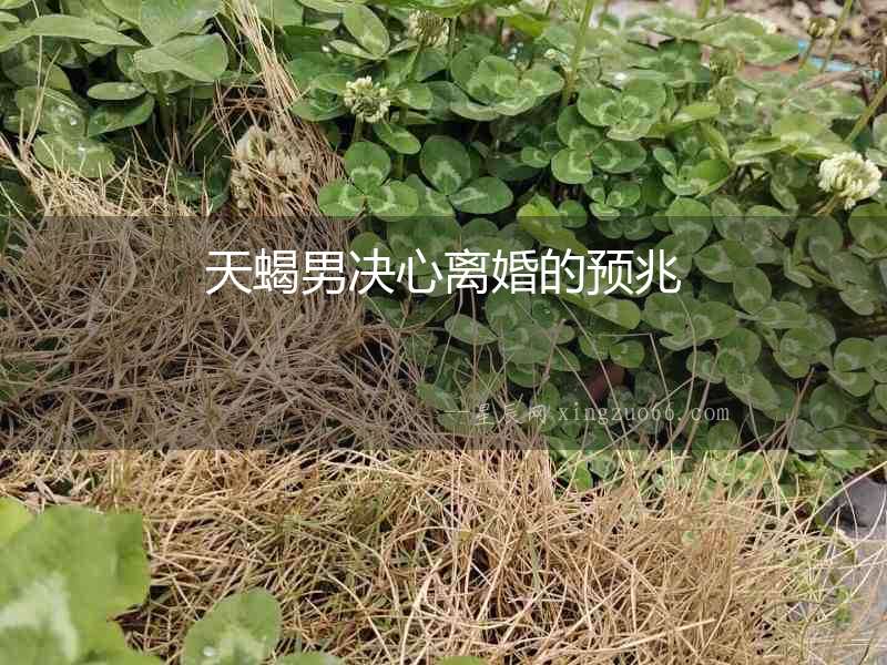 天蝎男決心離婚的預兆