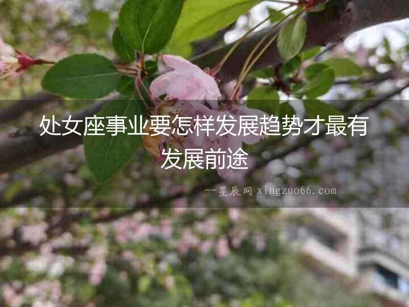 處女座事業(yè)要怎樣發(fā)展趨勢才最有發(fā)展前途