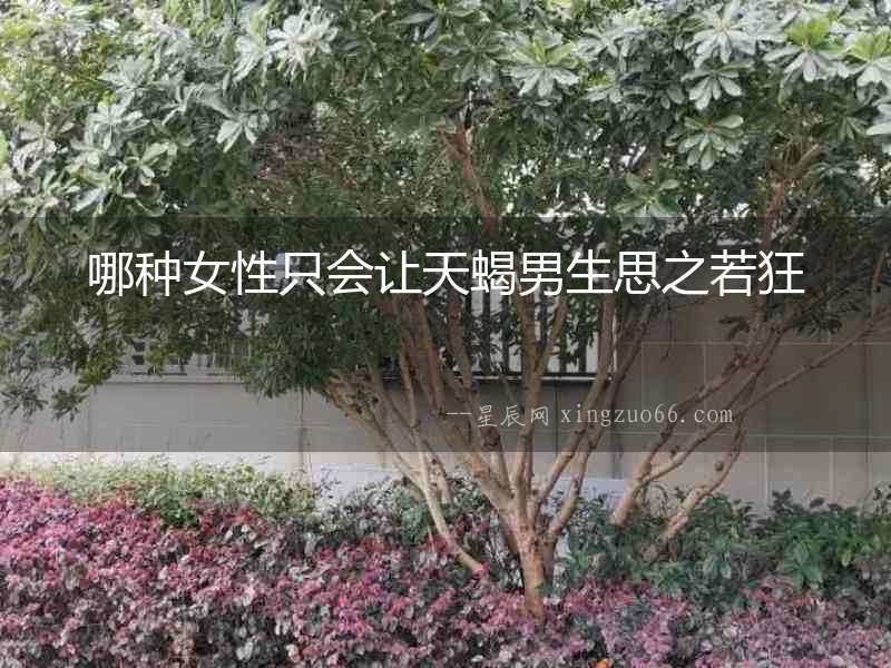 哪種女性只會讓天蝎男生思之若狂