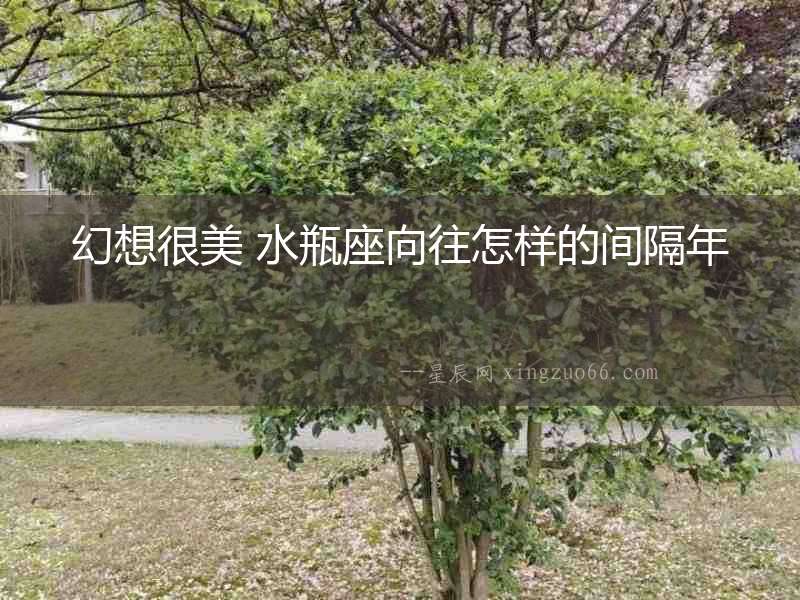 幻想很美 水瓶座向往怎樣的間隔年