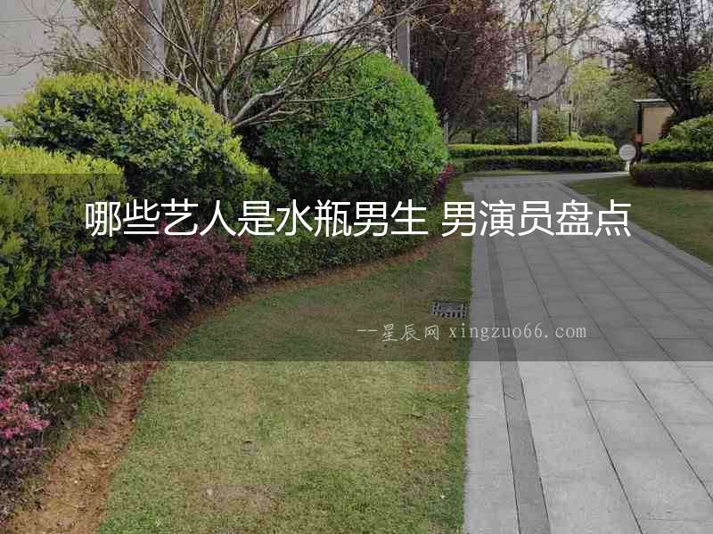 哪些藝人是水瓶男生 男演員盤點