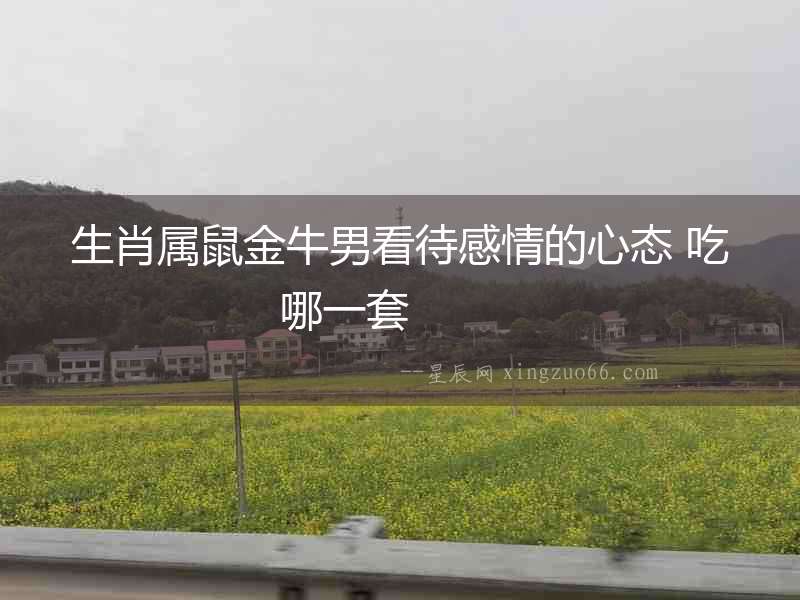 生肖屬鼠金牛男看待感情的心態 吃哪一套  　　　