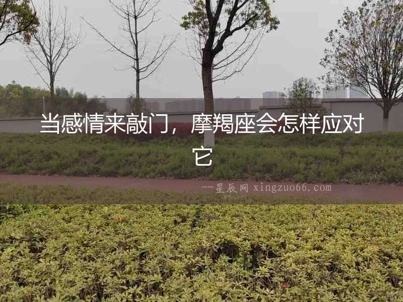 當感情來敲門，摩羯座會怎樣應對它