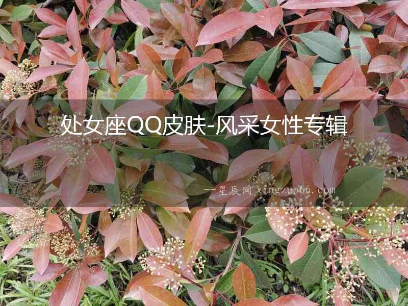 處女座QQ皮膚-風采女性專輯
