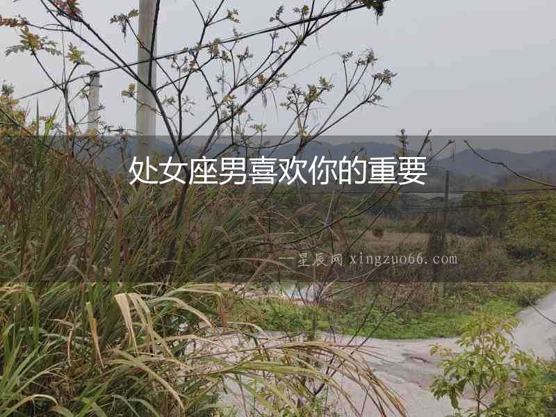 處女座男喜歡你的重要