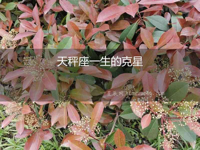 天秤座一生的克星