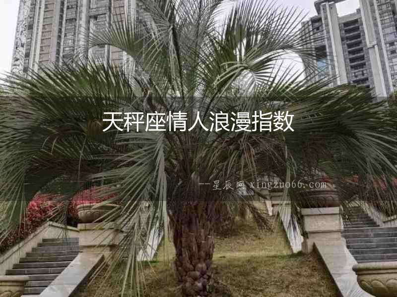 天秤座情人浪漫指數
