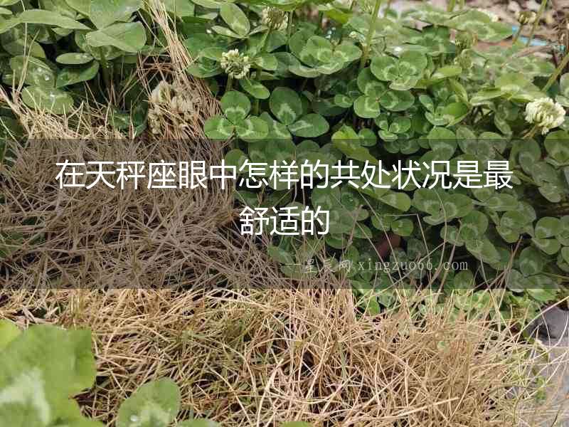 在天秤座眼中怎樣的共處狀況是最舒適的