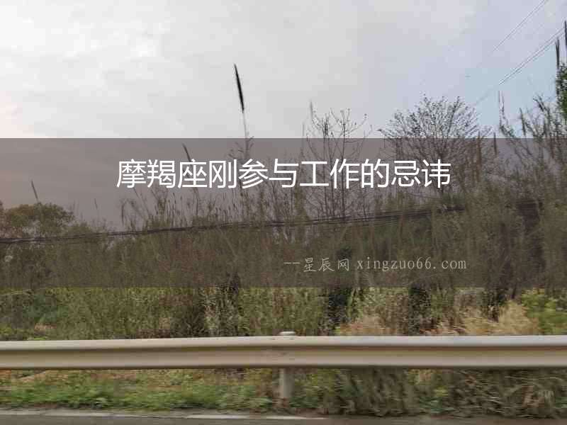 摩羯座剛參與工作的忌諱