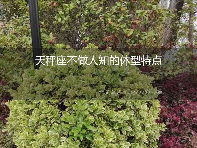 天秤座不做人知的體型特點
