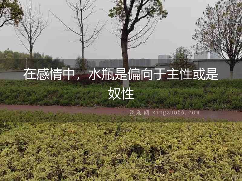 在感情中，水瓶是偏向于主性或是奴性
