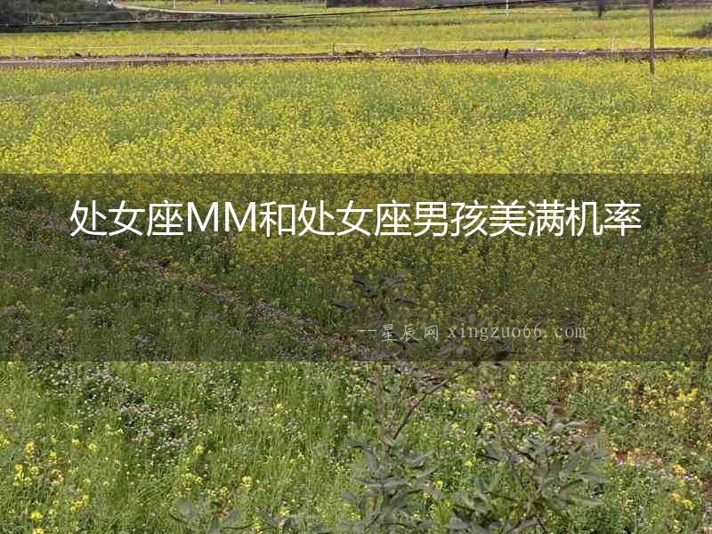 處女座MM和處女座男孩美滿機率