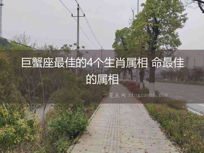 巨蟹座最佳的4個生肖屬相 命最佳的屬相