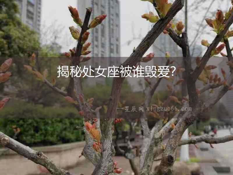 揭秘處女座被誰毀愛？