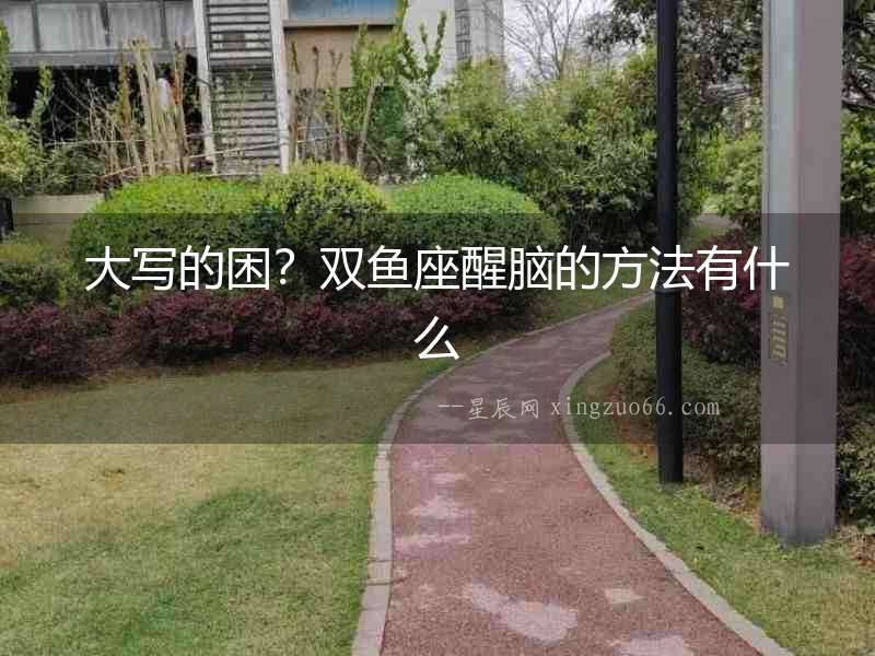 大寫的困？雙魚座醒腦的方法有什么