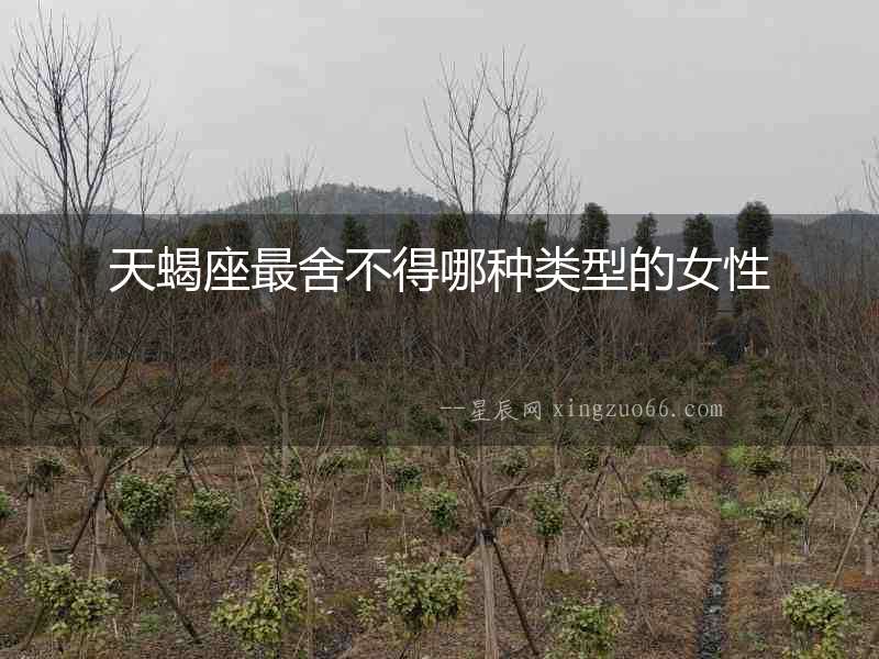 天蝎座最舍不得哪種類型的女性