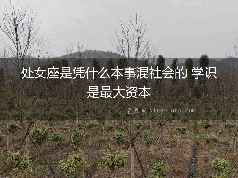 處女座是憑什么本事混社會的 學識是最大資本