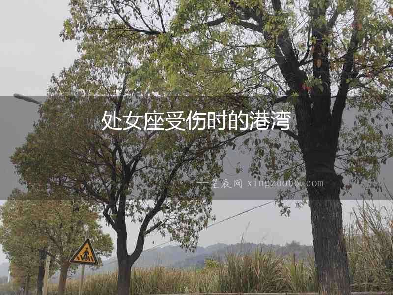 處女座受傷時(shí)的港灣