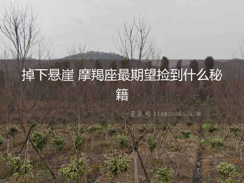 掉下懸崖 摩羯座最期望撿到什么秘籍