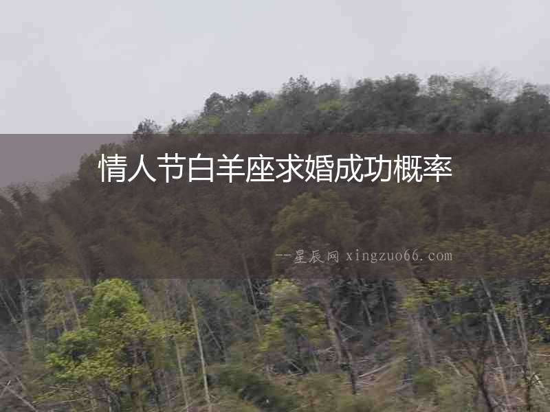 情人節白羊座求婚成功概率