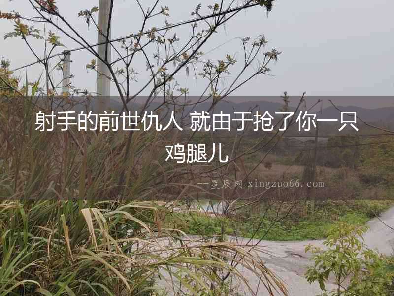 射手的前世仇人 就由于搶了你一只雞腿兒