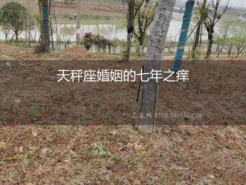 天秤座婚姻的七年之癢