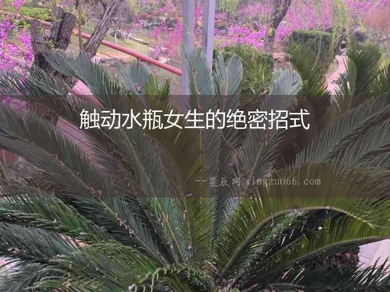 觸動(dòng)水瓶女生的絕密招式