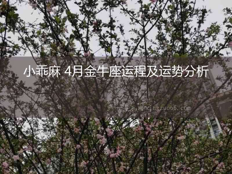 小乖麻 4月金牛座運程及運勢分析