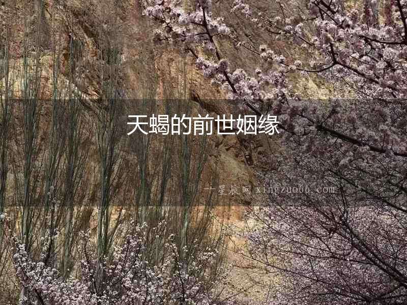 天蝎的前世姻緣