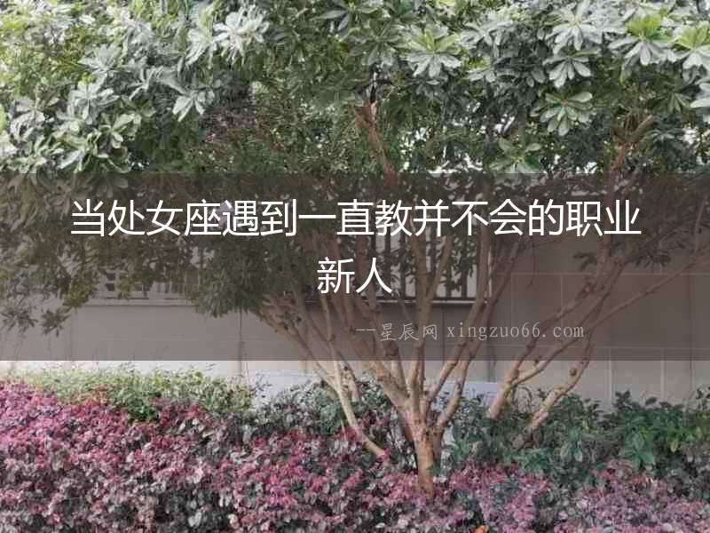 當處女座遇到一直教并不會的職業新人