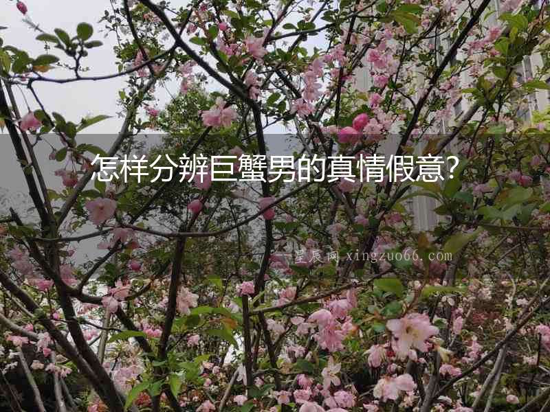 怎樣分辨巨蟹男的真情假意？