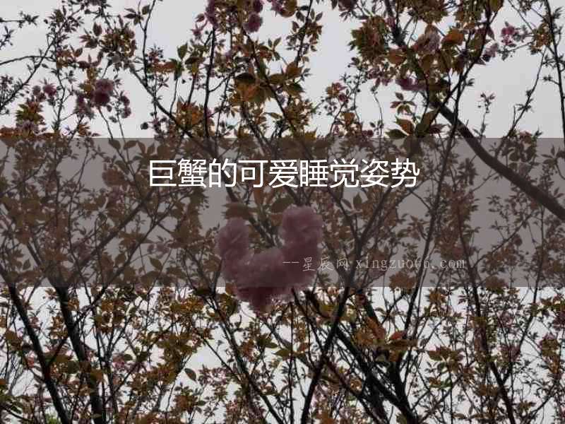 巨蟹的可愛睡覺姿勢