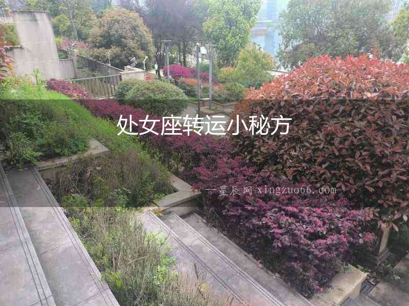 處女座轉(zhuǎn)運(yùn)小秘方