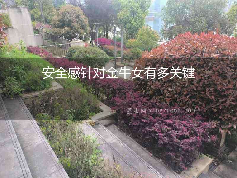 安全感針對金牛女有多關鍵