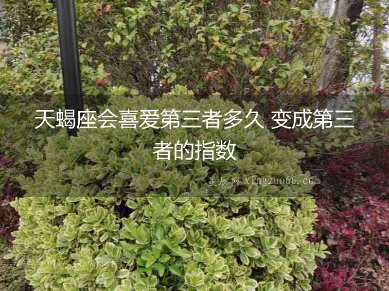 天蝎座會喜愛第三者多久 變成第三者的指數