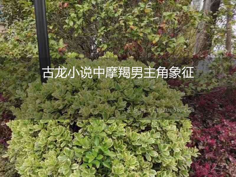 古龍小說中摩羯男主角象征