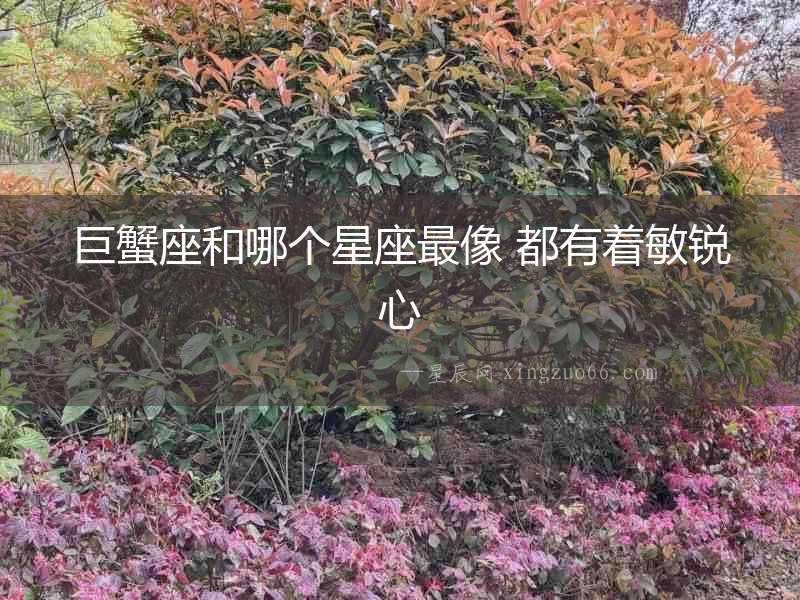 巨蟹座和哪個星座最像 都有著敏銳心
